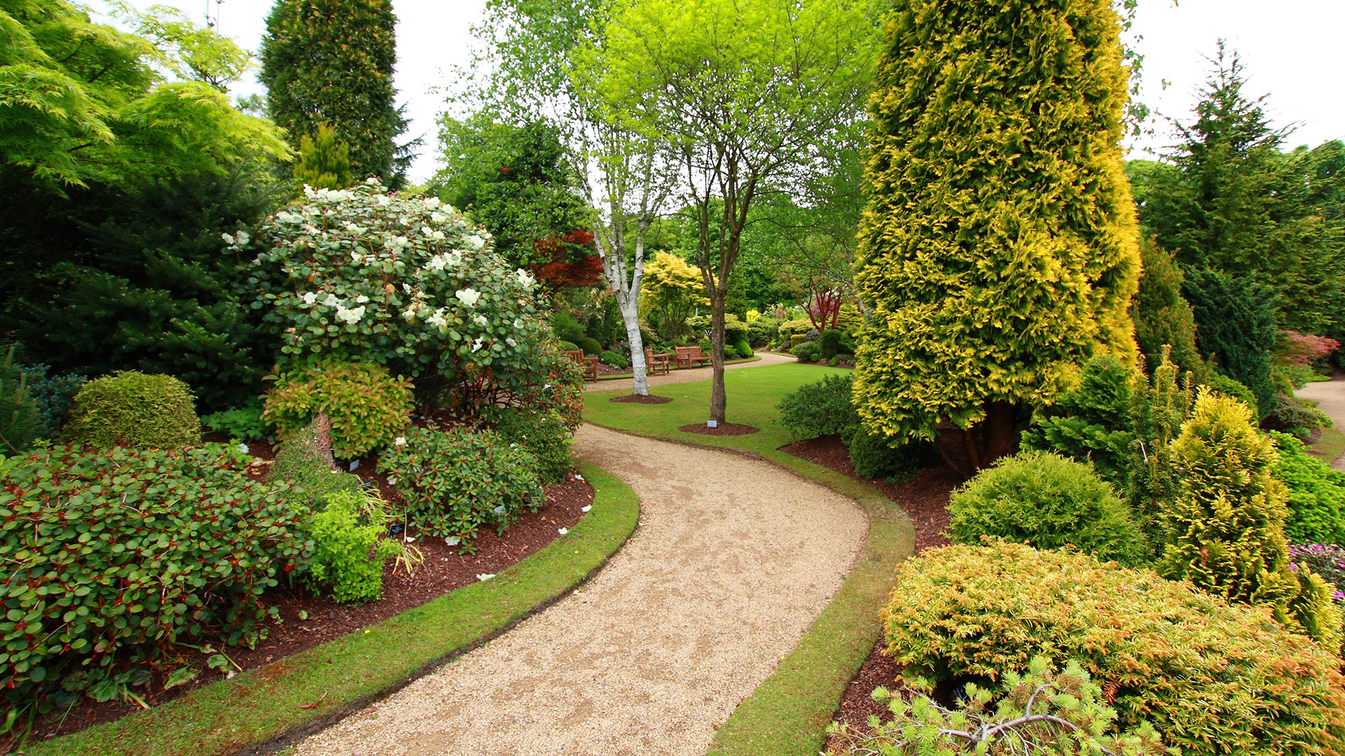 landscaping-4